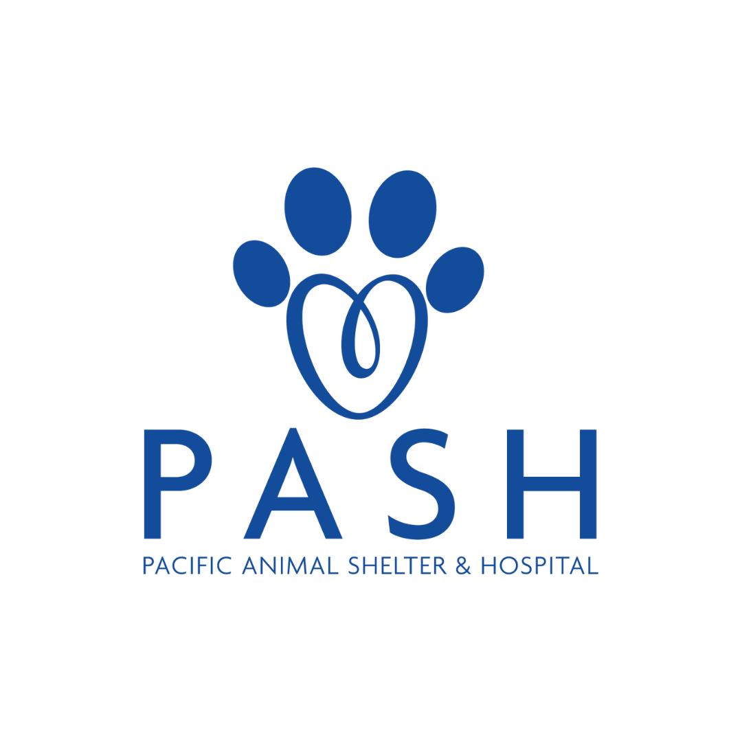 PASH Fiji (Pacific Animal Shelter & Hospital) 